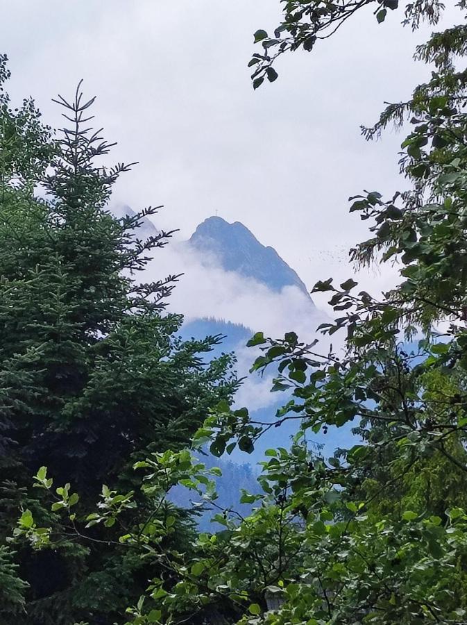 Pokoje Goscinne "Tecza" Zakopane Exterior foto